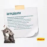 Сухий корм для дорослих котів зі зниженою активністю Josera Leger 10 кг, фото 3