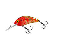 Воблер Salmo Rattlin' Hornet 5.5см (Golden Red Head) 2.0-4.0 м