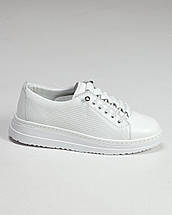 Кросівки жіночі Altura 3500 36 білі шкіра перфорація, фото 2