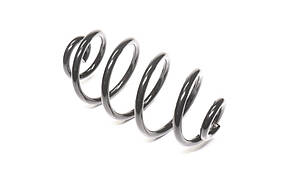 Пружина підв. AUDI A4,A6, VW PASSAT 96-00 задн. (RIDER) RD.28110074