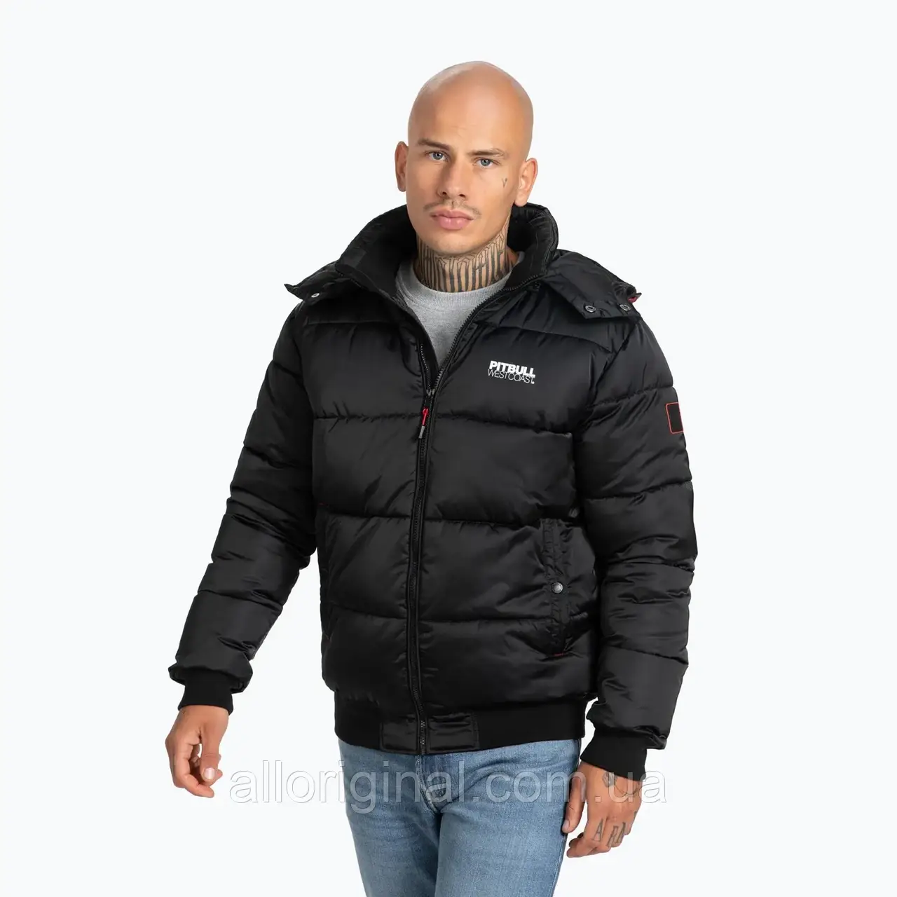 AllOriginal com ua Куртка зимова чоловіча Pitbull West Coast Padded Hooded Walpen black РОЗМІРИ ЗАПИТУЙТЕ