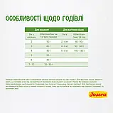 Сухий корм для кошенят, вагітних та лактуючих кішок з лососем Josera Kitten Grainfree 400 г, фото 4