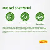 Сухий корм для кошенят, вагітних та лактуючих кішок з лососем Josera Kitten Grainfree 400 г, фото 7