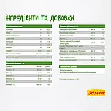 Сухий корм для кошенят, вагітних та лактуючих кішок з лососем Josera Kitten Grainfree 400 г, фото 5