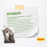 Сухий корм для кошенят, вагітних та лактуючих кішок з лососем Josera Kitten Grainfree 400 г, фото 6