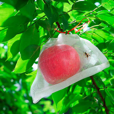 Мішечки сіточки для захисту винограду від комах LOSSO 25*35 см, білий (100 шт), комірка 1 мм