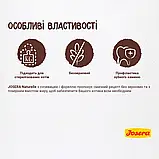 Сухий корм для котів, беззерновий з сочевицею та фореллю Josera Naturelle, 2 кг, фото 4