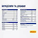 Сухой корм для дорослих котів, беззерновий з домашньою птицею Josera DailyCat 2 кг, фото 4