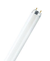 Люминесцентная лампа Osram Fluora T8 для освещения растений Osram L 18W/77 FLUORA G13