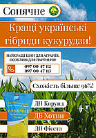 Семена кукурузы Солонянский 298 от производителя