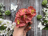 Декоративные цветочки Весенник 4-4.5 см 6 шт/уп. пюсового цвета
