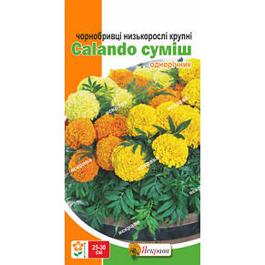 Чорнобривці низькорослі Calando (Каландо) суміш 0,3 г, насіння Яскрава, фото 3