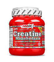 Креатин Amix Nutrition Creatine monohydrate 500 g