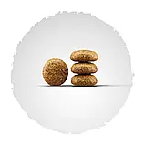 Сухий корм для дорослих собак малих порід Josera Miniwell 900 г, фото 2