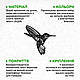 Декор в кімнату дерев'яна картина на стіну Колібрі у візерунок 20x23 см Woodyard (1410--20x23), фото 7