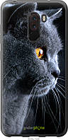 Пластиковый чехол Endorphone Xiaomi Pocophone F1 Красивый кот (3038t-1556-26985) EJ, код: 7501067