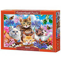 Пазлы Castorland Котята в цветах 500 элементов 47 х 33 см B-53513 GG, код: 8263852