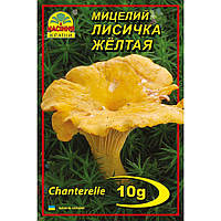 Мицелий грибов Насіння країни Лисичка желтая 10 г SE, код: 7718791