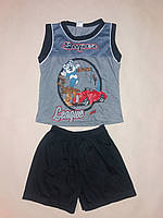 Костюм для мальчика майка и шорты DL на рост 80 см Серый (ю275) TN, код: 1886311