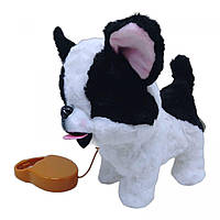 Интерактивна собачка на поводке черно-белая MIC (K14703) PS, код: 8343020