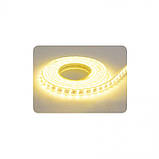 Стрічка світлодіодна LED "GANJ" (220-240V) вологозахищена 6400К ціна вказана за 1м, фото 4