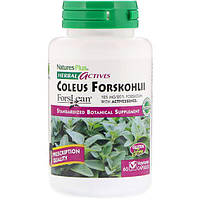 Экстракт для похудения Nature's Plus Herbal Actives Coleus Forskohlii 125 mg 60 Veg Caps NAP- KC, код: 7775443