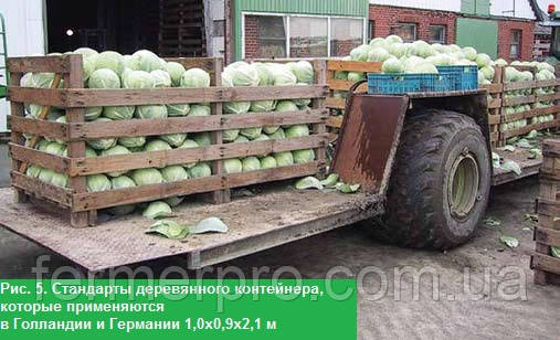 Рис. 5. Стандарти дерев'яного контейнера, які застосовуються в Голландії і Німеччині 1,0х0,9х2,1 м Рис. 5. Стандарти дерев'яного контейнера, які застосовуються в Голландії і Німеччині 1,0х0,9х2,1 м
