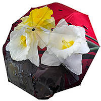 Женский зонт-автомат в подарочной упаковке с платком от Rain Flower красный с нарциссами 0102 KC, код: 8027282