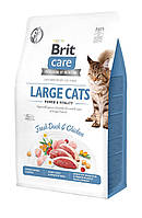 Сухой корм для кошек крупных пород Brit Care Cat GF Large cats Power Vitality с уткой и кури IN, код: 7567883
