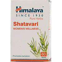 Комплекс при лактации Himalaya Shatavari 60 Tabs FE, код: 8207173