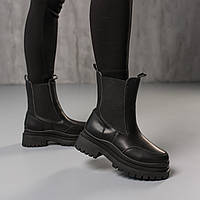 Черные Женские Ботинки на низком каблуке 39 размер 25 см Camie (37,39,41р.)