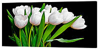 Картина на холсте Декор Карпаты Белые тюльпаны 50х100 см (c246) GM, код: 741366