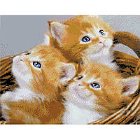 Алмазная вышивка коты на подрамнике Корзина с котятами 40х50 Алмазная мозаика круглыми стразами Strateg FA4084