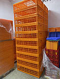 Ящик Piedmont Coop для перевезення птахів 970х580х270 мм, фото 8