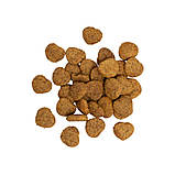 Хрусткі ласощі для кошенят Savory Crunchy Snacks for Cats - Kitten для здорового росту з індичкою та журавлиною 50г, фото 4