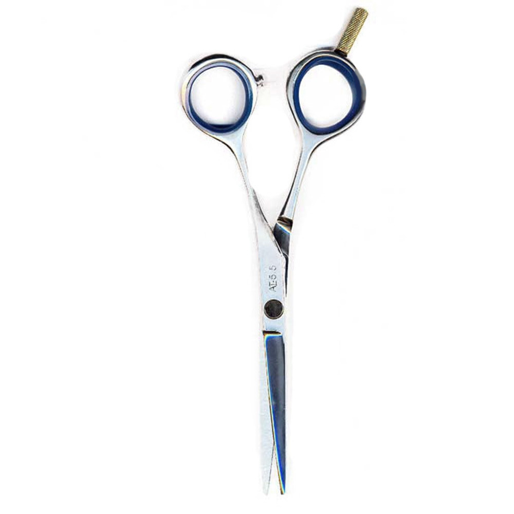 Ножиці для стрижки Proline 5.5" (AI-55), фото 1