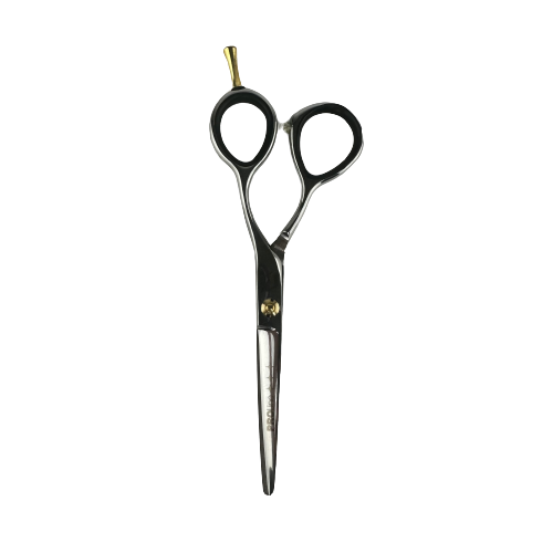 Ножиці для стрижки Proline 5.5" (AIE03-55), фото 1