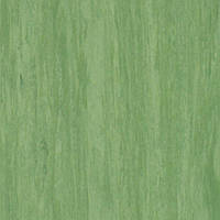 Лінолеум Tarkett Standard Plus Dark Green 0921 (2m)