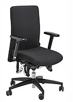 Кресло компьютерное BioSwing 360 IQ