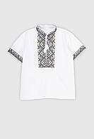 Рубашка вышиванка для мальчика Козачок Илья 104 см Разноцветный (2000989824596) z114-2024