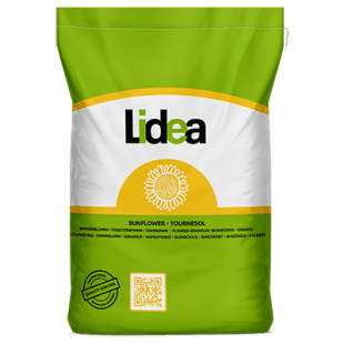 Насіння соняшнику ЕС Ізіда Lidea
