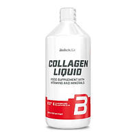 Хондропротектор (для спорта) BioTechUSA Collagen Liquid 1000 ml 40 servings Tropical Fruit DH, код: 7622723