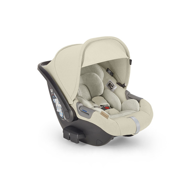 Коляска 4в1 Inglesina Electa Element с автокреслом Darwin i-Size 