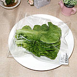 Штучне листя салату RESTEQ 10шт бутафорія муляж овочі імітація зелень, фото 8