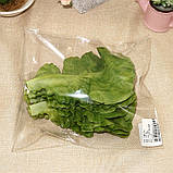 Штучне листя салату RESTEQ 10шт бутафорія муляж овочі імітація зелень, фото 9