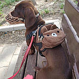 Рюкзак для собаки Ведмедик RESTEQ 14х11 см. Маленький рюкзак на собаку із зображенням ведмедя. Собачий рюкзак Ведмедик, фото 3
