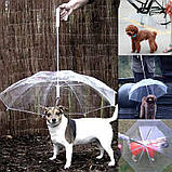 Парасолька для собаки RESTEQ. Парасолька з ланцюгом для собак. Собача парасолька, фото 2