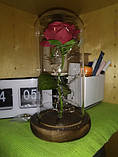 Вічна троянда в колбі з LED підсвічуванням 21*9 см. Вічно жива троянда з підсвічуванням, фото 3