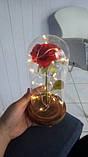 Вічна троянда в колбі з LED підсвічуванням 21*9 см. Вічно жива троянда з підсвічуванням, фото 4
