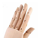 Дерев'яна рука манекен RESTEQ 18см модель для утримання товару, для малювання (ліва), фото 7